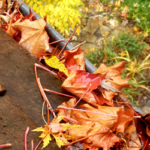 Autumn leaves in a home gutter.